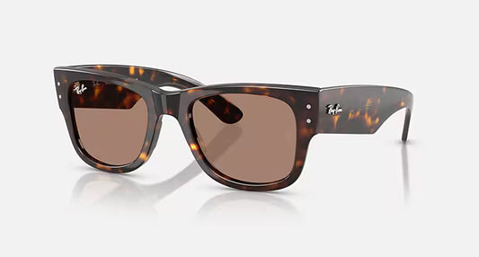 P#6 RayBans Sunglasses (18-Hole Member-Guest)