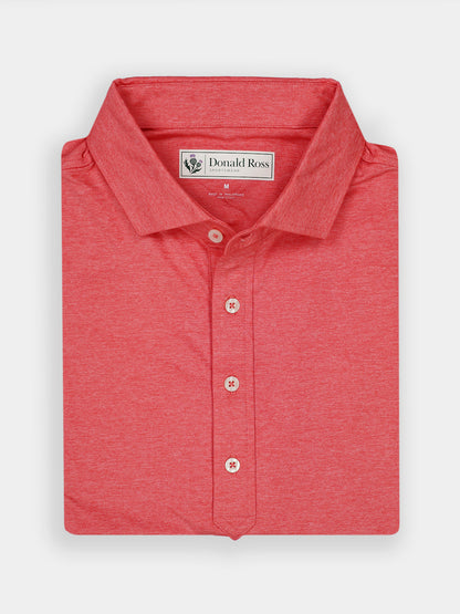 Elmira-Solid Jersey Polo