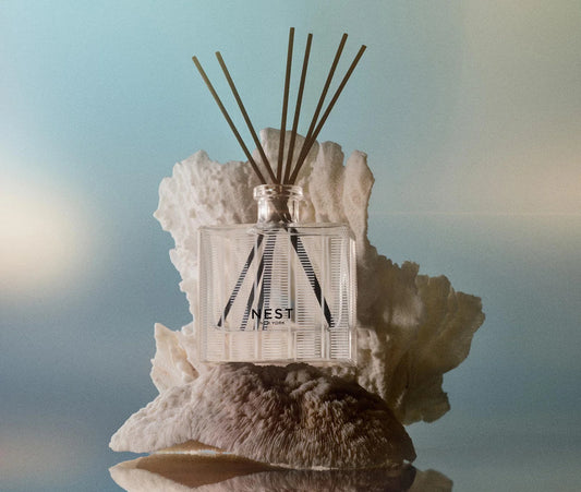 Ocean Mist & Sea Salt Diffuser